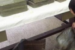 حجز 575ر209 كلغ من الكيف المعالج