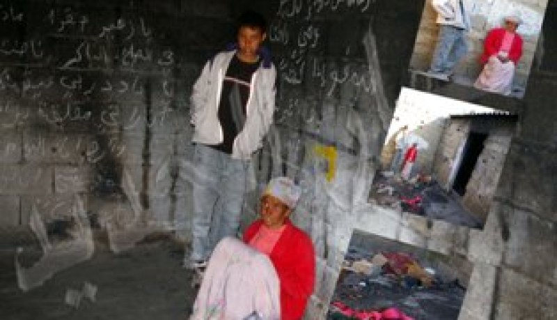 عائلة تقتات القطط وتقاسم الكلاب لقمة العيش