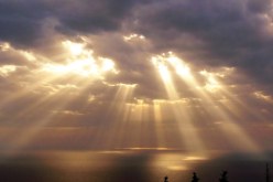 نور يدخل إلى جسد أمي… هو ونور الإيمان