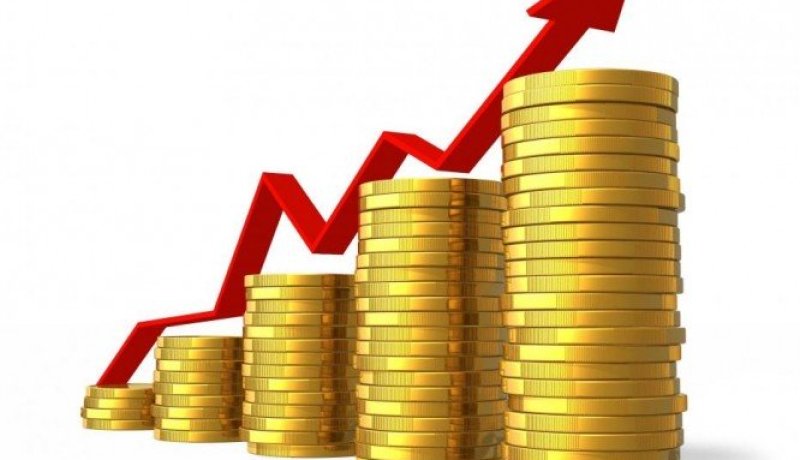 أيسلندا تبدأ في رفع الضوابط المالية بعد الأزمة المالية العالمية