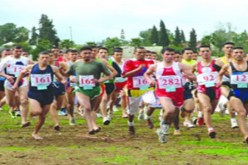 مشاركة أزيد من 600 عداء في الطبعة ال 26 لسباق العدو الريفي بتلمسان