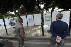 رجال أعمال ومصارعون ومقاولون يترأسون قوائم المحليات!