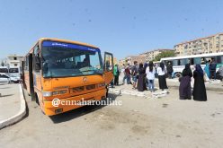 6 أشهر للإحتفاظ برخصة النقل أو التنازل عنها بعد وفاة صاحبها