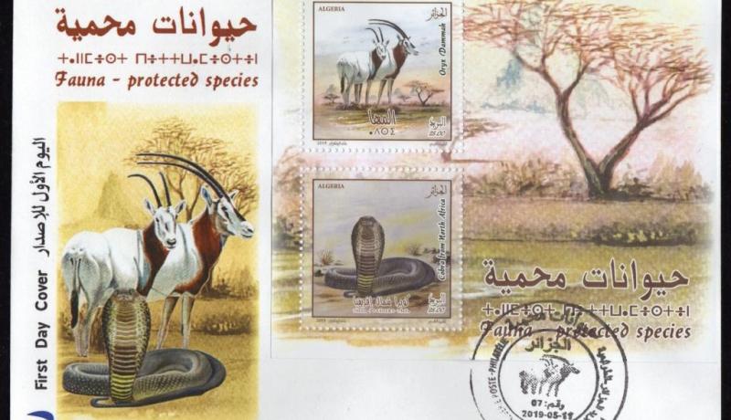 بريد الجزائر يصدر طابعين بريديين بعنوان “حيوانات محمية”