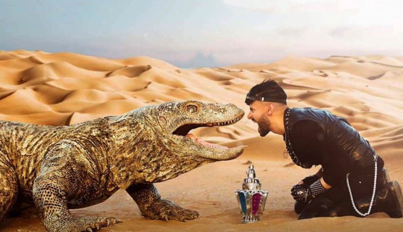 بالفيديو..المطالبة بمقاضاة رامز جلال وإيداعه مستشفى المجانين