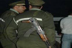 حجز 10 قناطر من الأرز وألف قارورة خمر وسيارتين بتبسة