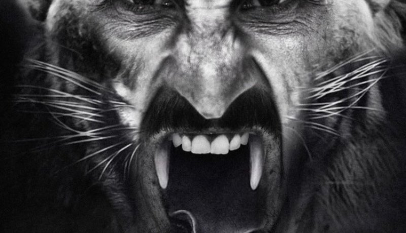 بالفيديو- “إبراهيموفيتش” يتدرب كـ “الوحش” للعودة إلى الميادين