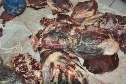 حجز 229 كلغ من اللحوم الفاسدة في المسيلة