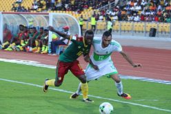 مباراة ودية للخضر بعد مواجهة نيجيريا