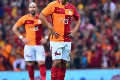 أين أنت يا فيغولي.. !!