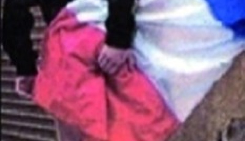 جدل بسبب صورة شاب “عريان” حوّل العلم الفرنسي إلى منشفة