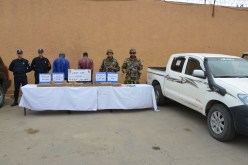 بالصور..تدمير 7 قنابل تقليدية بتبسة وحجز أزيد من 55 كغ “زطلة” بالجنوب