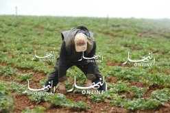 «6 آلاف فلاح سيستفيدون من قرض الرفيق في 2019»