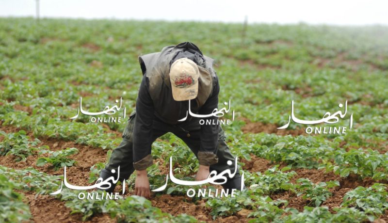 وفاة فلاح داخل مزرعته بصعقة كهربائية بالوادي