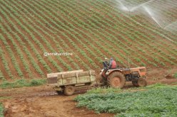 «6 آلاف فلاح رفضوا تسوية وضعيتهم وتخلوا عن 34 ألف هكتار»