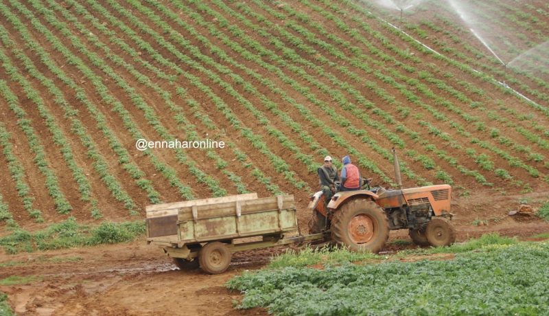 مسؤولون يتورّطون في نهب أراض فلاحية.. ورئيس الدائرة يحوّلها إلى أوعية عمرانية!