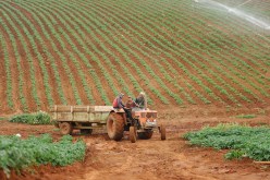 فتح المزارع النموذجية غير المستغلة للمستثمرين الفلاحيين