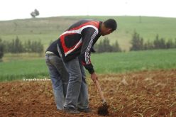 «السجن و100 مليـون غـرامة لكل فلاح يسقي أراضيه بمياه الزيڤو»