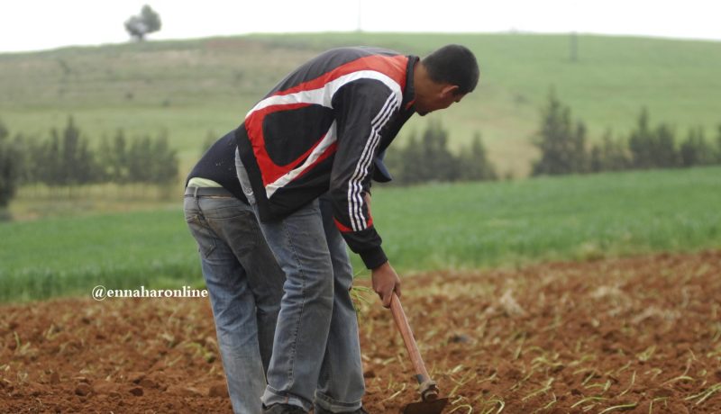 «السجن و100 مليـون غـرامة لكل فلاح يسقي أراضيه بمياه الزيڤو»