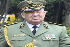 ڤايد صالح في معرض ديمدكس في قطر