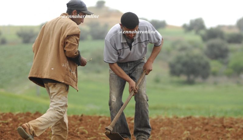 «إحصاء الفلاحين الراغبين في الاستثمار بغرف التخزين»