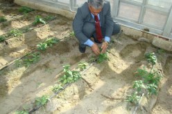 الفلاحة في الجامعة