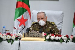 الفريق شنقريحة يشرف على افتتاح ندوة حول الذاكرة والوحدة الوطنية