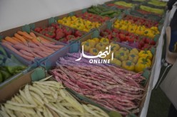 أكثر من 30 متعاملا جزائريا في الصالون الدولي للفلاحة بباريس