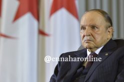 تطبيق الشراكة المؤسساتية تخضع لموافقة رئيس الجمهورية 