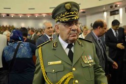 ڤايد صالح في أكاديمية شرشال ليومين
