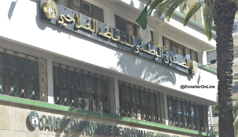 «قروض بـ500 مليون لتمويل مشاريع الشباب من عند CNMA»