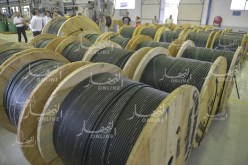 فرعون: 10 ملايير دينار لربط الإدارات بشبكة الألياف البصرية