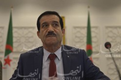 غول: “سنختار الرئيس بوتفليقة في الرئاسيات وسنقدم له الولاء”