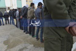 الدرك الوطني يضع حدا لعصابة مختصة في سرقة المواشي عبر ولايات الوسط بالمسيلة