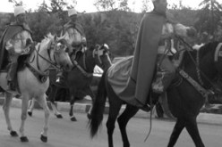 الأمريكيون والفرنسيون والبريطانيون حضروا الصالون الوطني السابع للفرس:تحديث تقنيات تربية وتطوير سلالة الخيول العربية