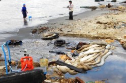 تسرب كميات من الوقود بعرض شاطئ العربي بن مهيدي بسكيكدة