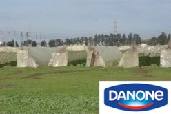 استثمار دانون بالجزائر يخدم مصالح خاصة وسيضاعف فاتورة استيراد البودرة