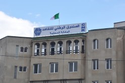 ابنة مجاهد تحتال على صندوق التقاعد للاستفادة من معاشات والدها المتوفى طيلة 16 سنة بالتزوير