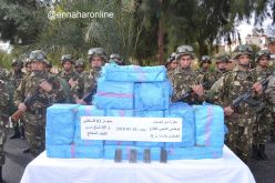 الجيش يحبط محاولة لتهريب أكثر من 3 قناطير من «الكيف» في بشار!