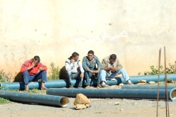 ‮51 ‬ألــف دينــار للجـامعيين و ‮01 ‬آلاف للتقنييـن في‮ ‬عقــود الإدمـاج المهني