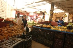 تأخر وصول الأسمدة وتوزيعها يرفع أسعار الخضر إلى السقف