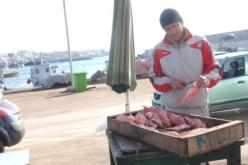 الثروة البحرية في الجزائر عاجزة لا تلبي طلبات السوق من السمك