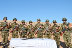 الجيش يوقف 12 شخصا ويضبط 3 بنادق صيد وكمية من الذخيرة في 3 ولايات