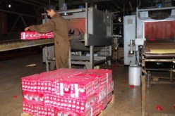 تحقيق في مصنع “قهوة فاكتو” ببوفاريك يكشف عن انعدام النظافة به