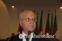 مدلسي يشارك في الجمعية العامة لإتحاد المجالس الدستورية بالقاهرة