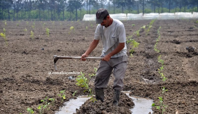 تعاونيـــات فـــلاحيـــة مصغّـــرة للاستفـــادة مـــن ميـــاه «البــــاراجـــات»