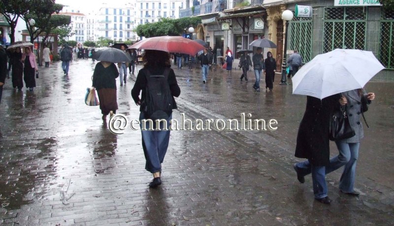أمطار رعدية على المناطق الساحلية الوسطى والشرقية ليلة اليوم