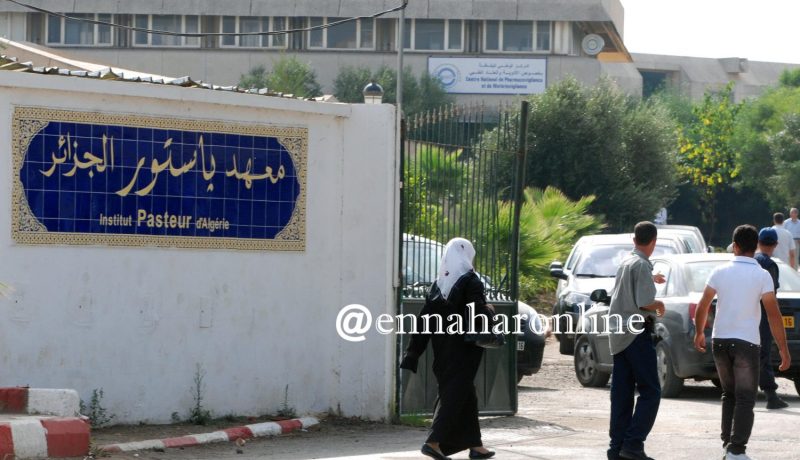 مدير معهد باستور : لا وجود لأنفلونزا الخنازير في الجزائر