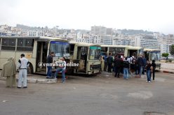 15 ألف حافلة “خردة” يركبها الجزائريون