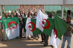 معاك يا الخضرا.. دارت حالة مع السودانيين، دعم مطلق لـ''محاربي الصحراء